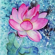 花画头像图片，适合做微信头像的花朵图片