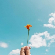 简单清新景物头像，简单好看的微信风景头像清新自然