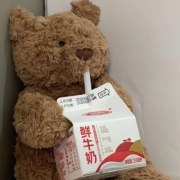 2024可爱呆萌小熊头像，好看的熊图片
